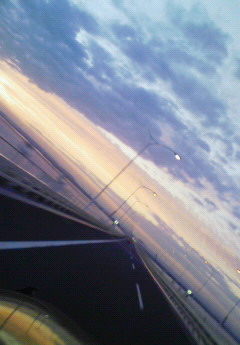 コピー ～ NEC_0023.JPG